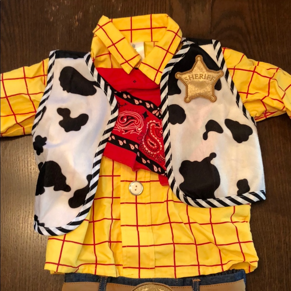 Disney Woody costume